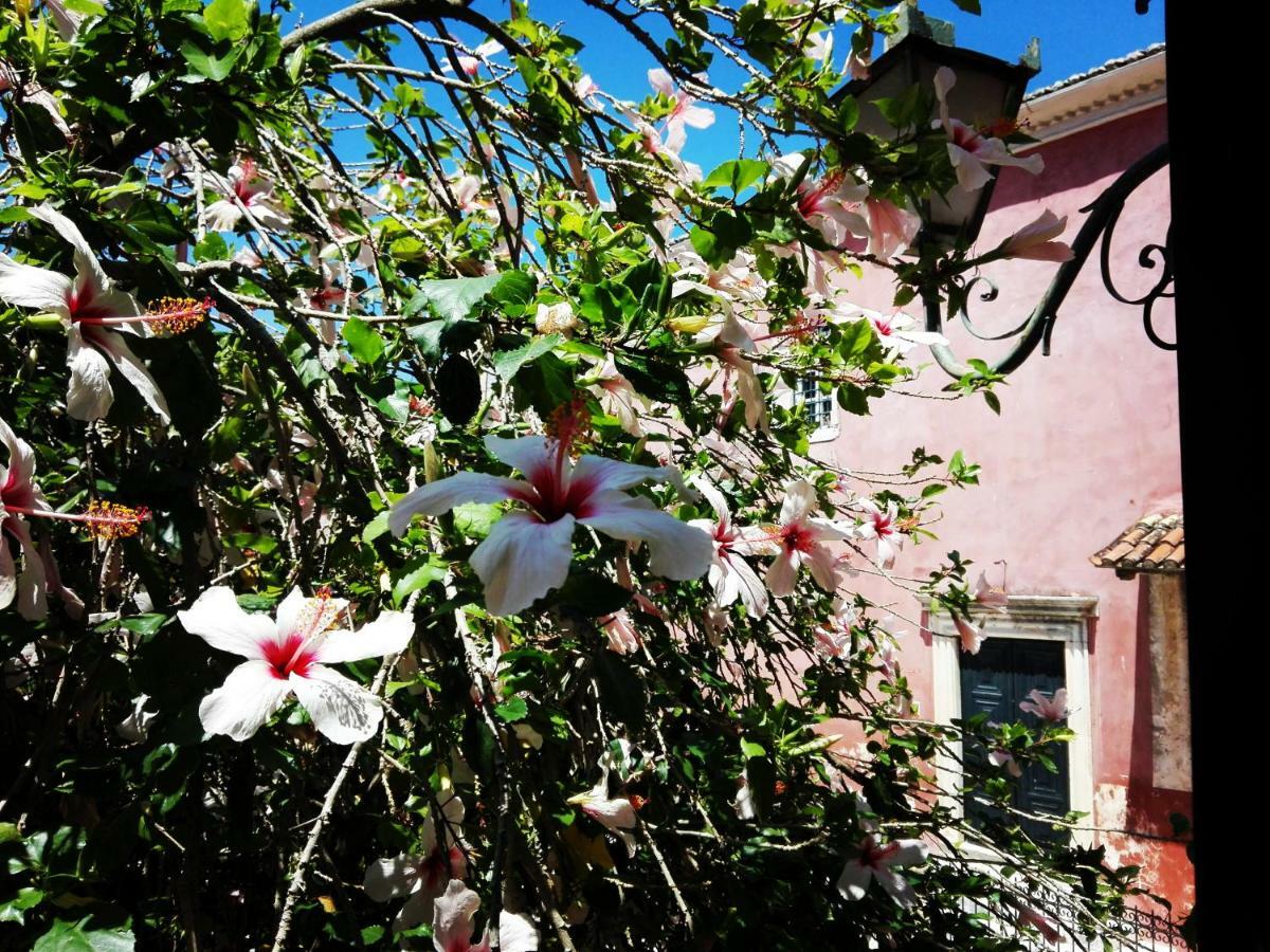 Venetian Well Cozy Apartment Corfu Old Town المظهر الخارجي الصورة